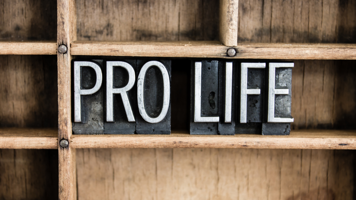pro life essay with facts